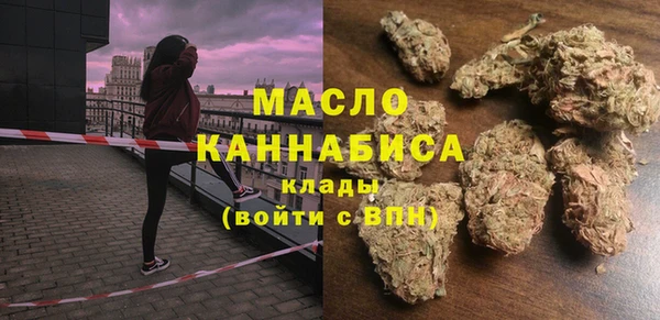 эйфоретик Ельня