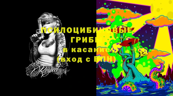 молекула духа Арсеньев