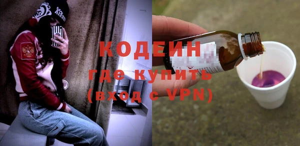 молекула духа Арсеньев
