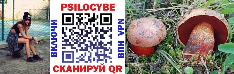 Псилоцибиновые грибы GOLDEN TEACHER  Сухиничи 